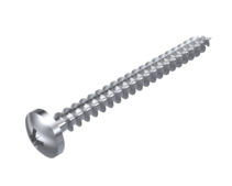 RVS pancilinder spaanplaatschroef A2 3x10 mm
