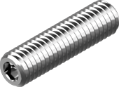 RVS stelschroef met platte punt A2 M10x90 mm