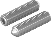 RVS stelschroef met kegelpunt A2 M5x20 mm