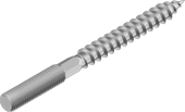 RVS stokschroef 8x60 mm